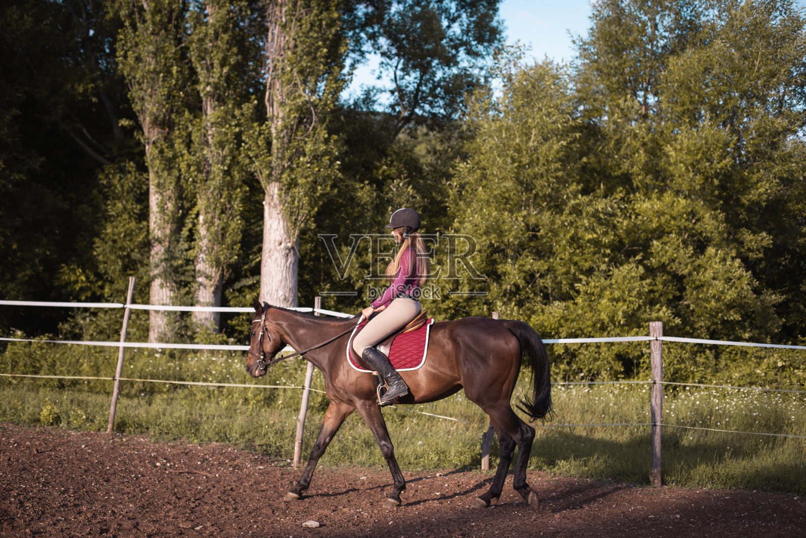 年轻漂亮的女孩和她的马照片摄影图片