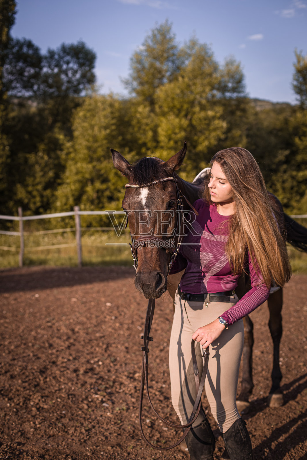 年轻女孩和她的马照片摄影图片