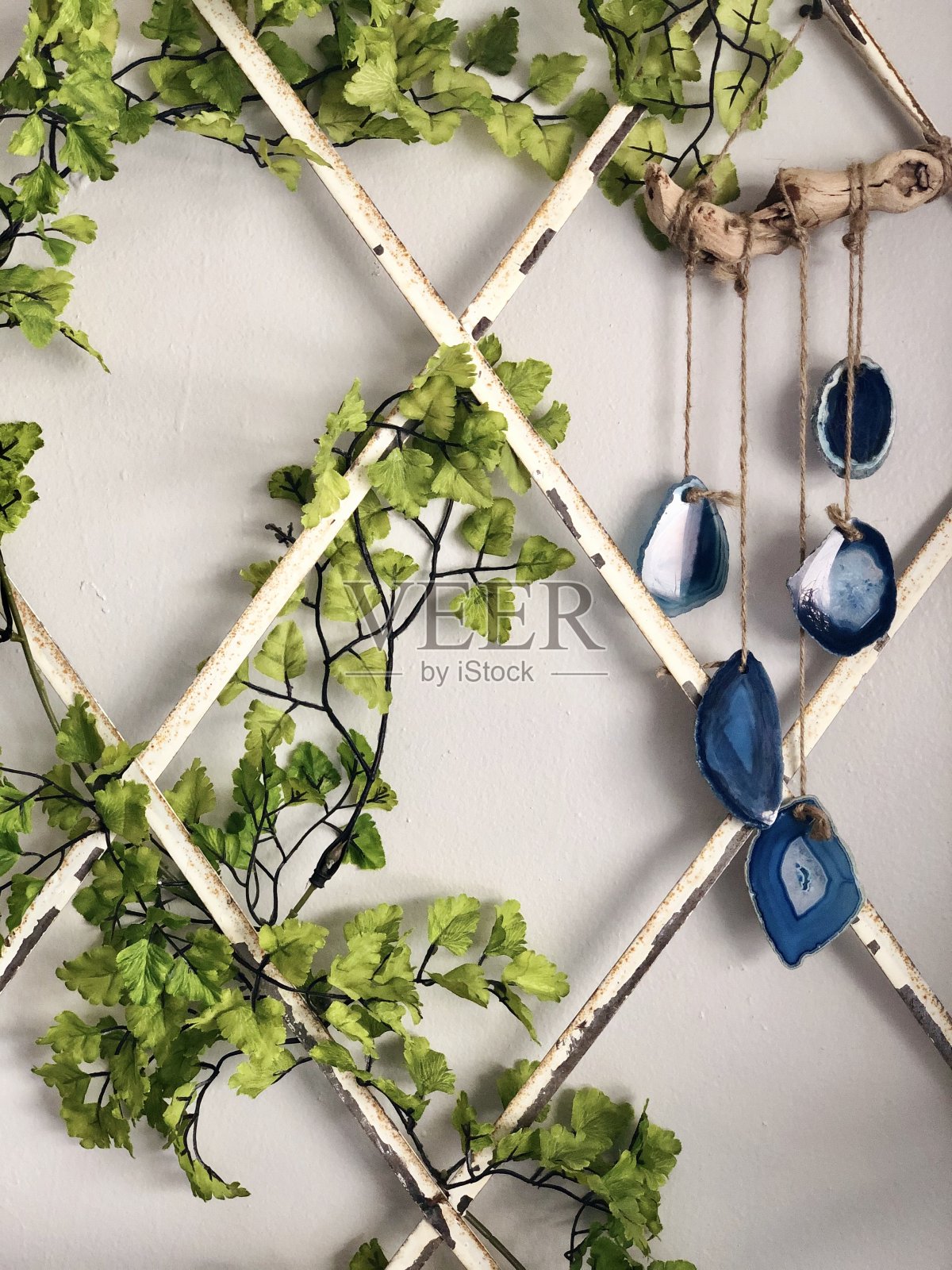 绿色和蓝色照片摄影图片