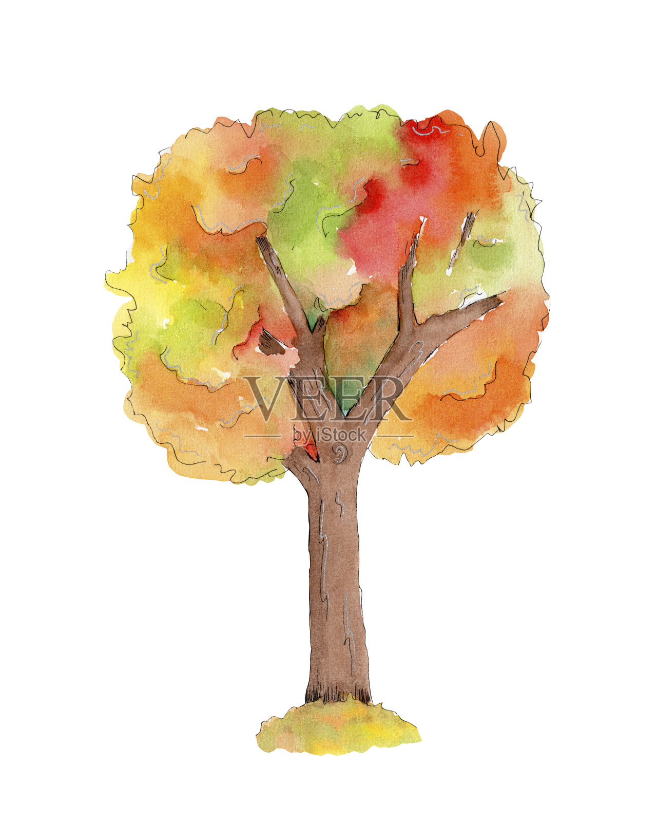 手绘水彩树插图插画图片素材