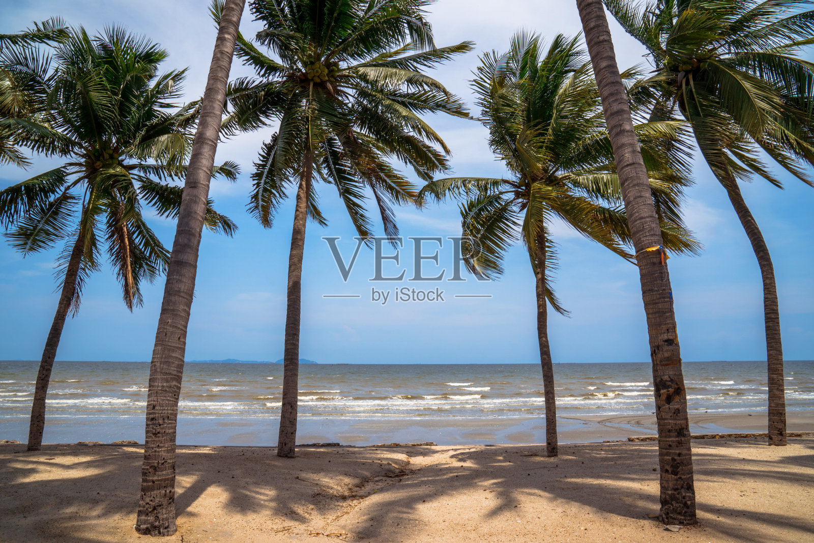 泰国的椰子树和热带海滩。照片摄影图片