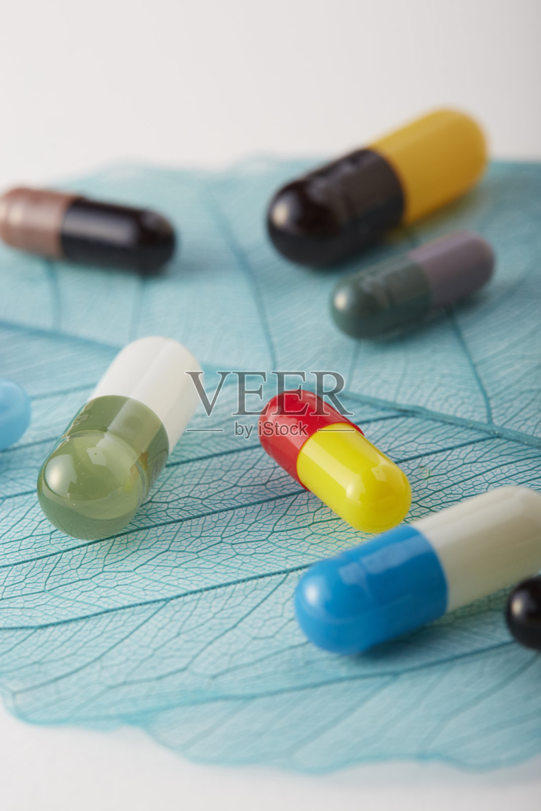 叶子骨架上的胶囊。照片摄影图片