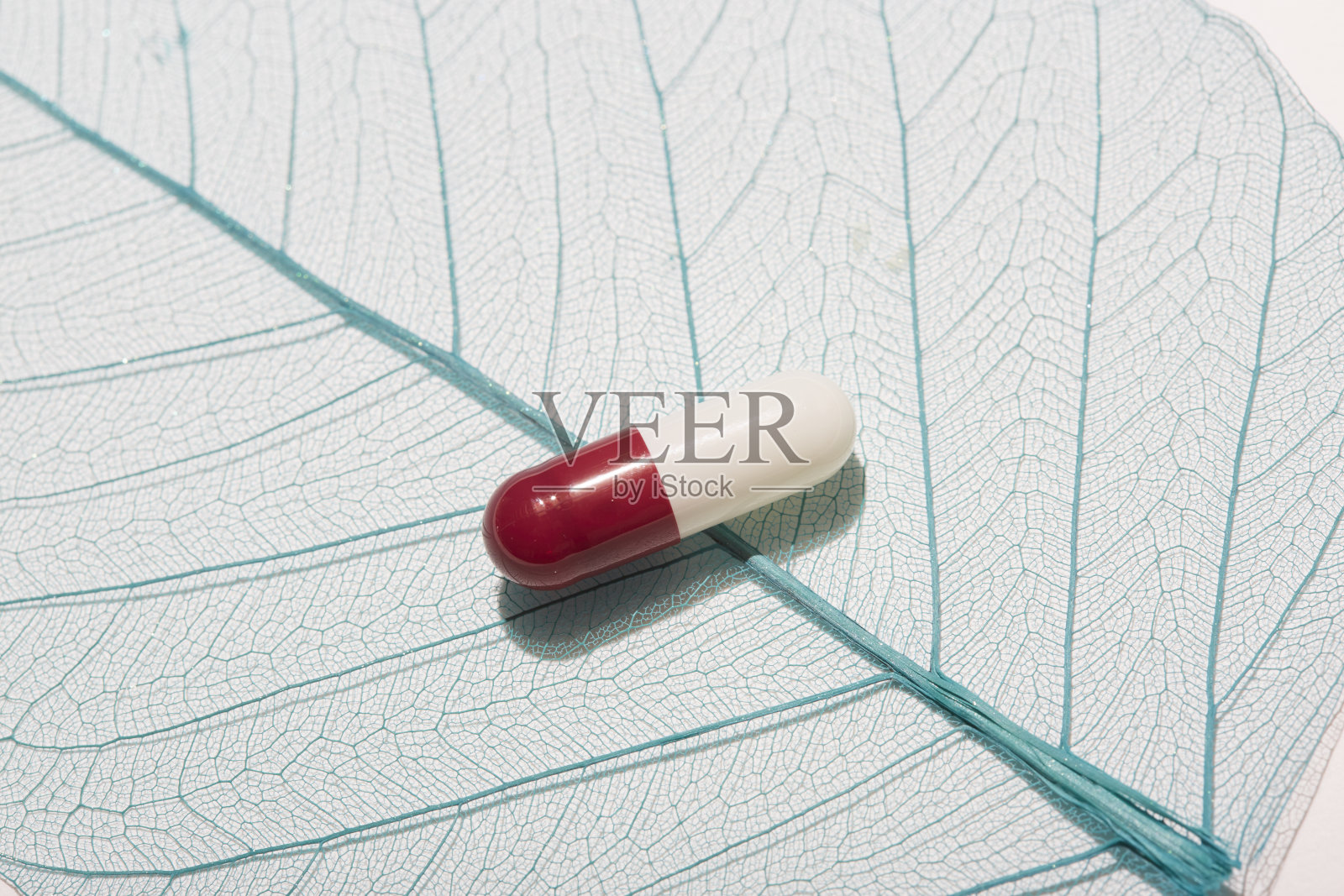 叶子骨架上的胶囊照片摄影图片