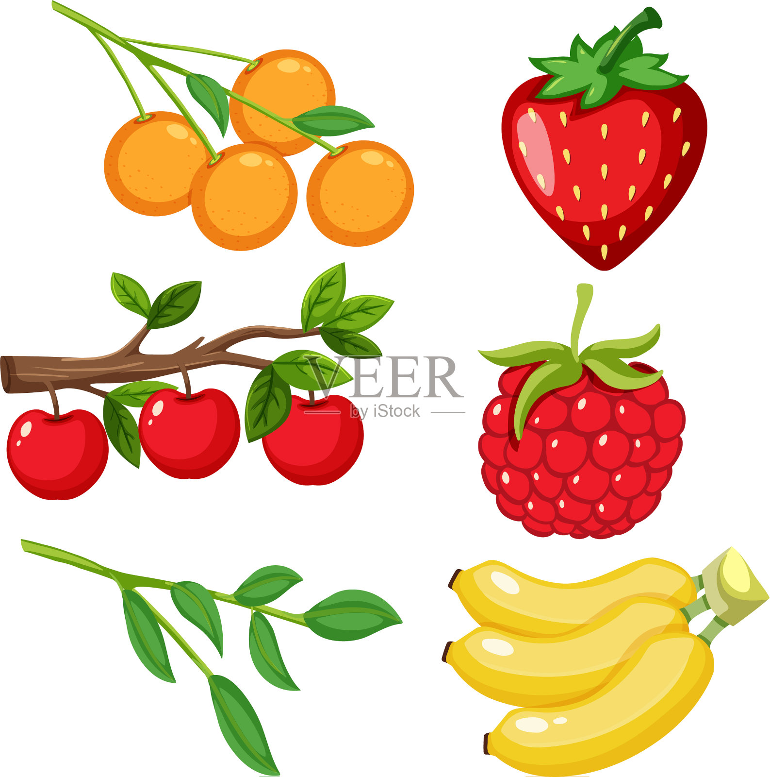 大型设置不同类型的水果在白色插画图片素材