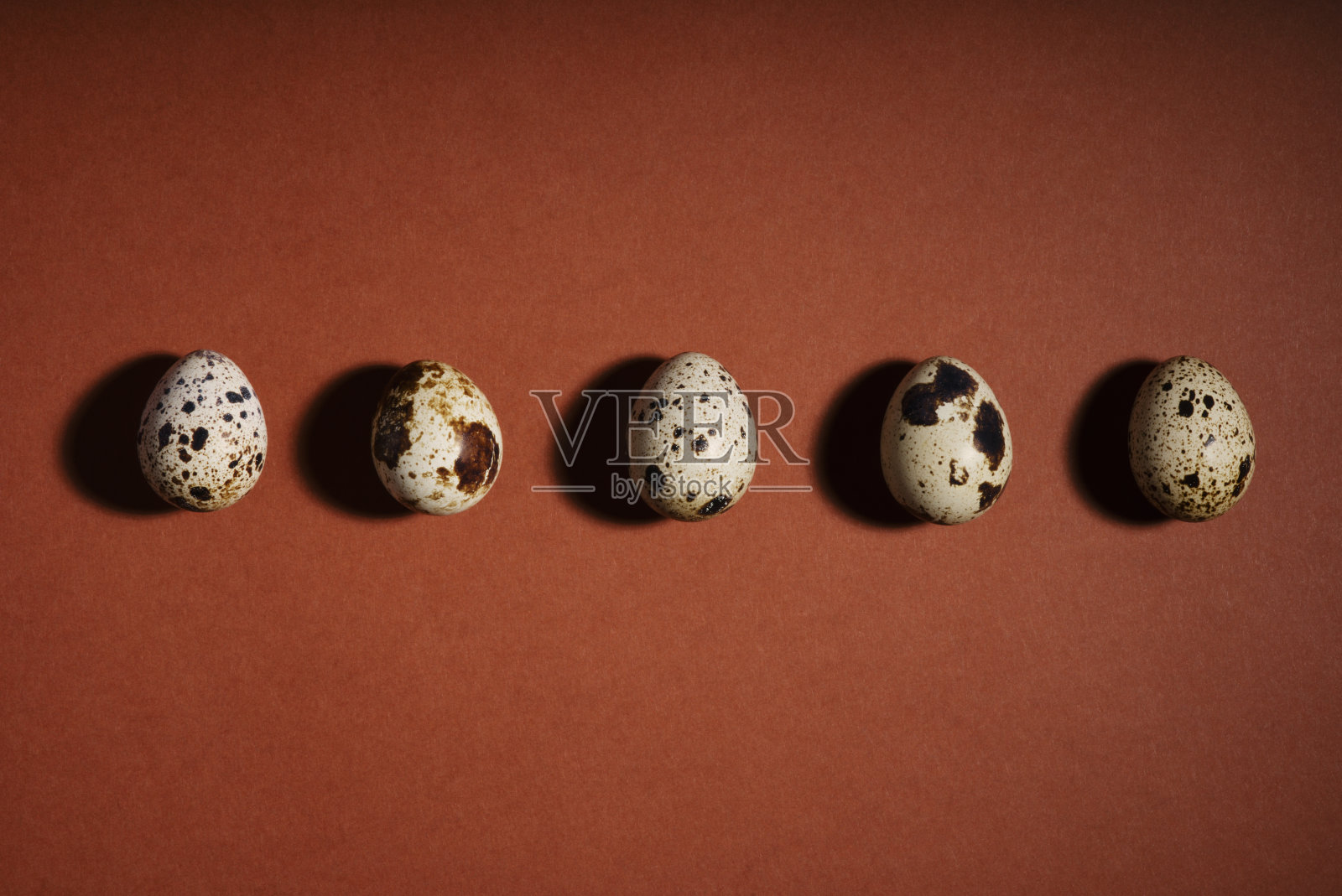 创造性的鹌鹑蛋布局在棕色背景。鹌鹑蛋图案。复活节快乐的概念。照片摄影图片