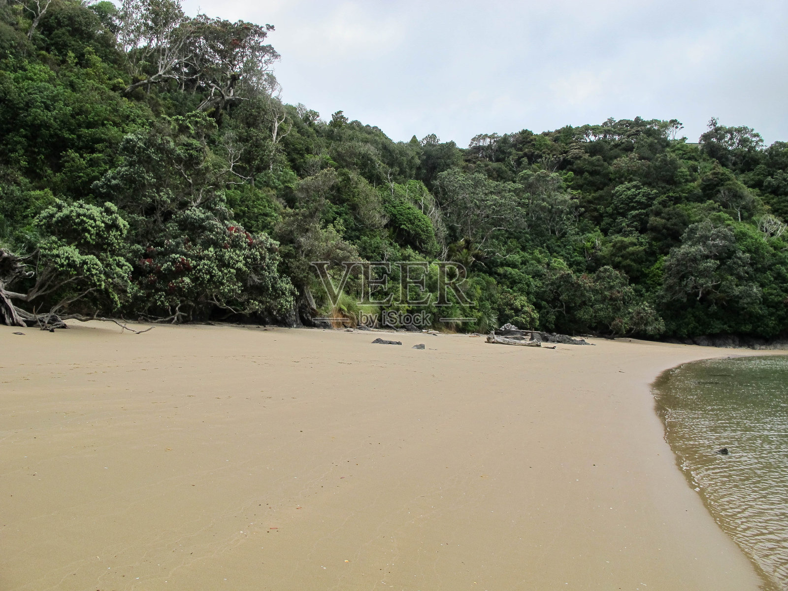 海滩，恩古鲁河，北国，新西兰照片摄影图片