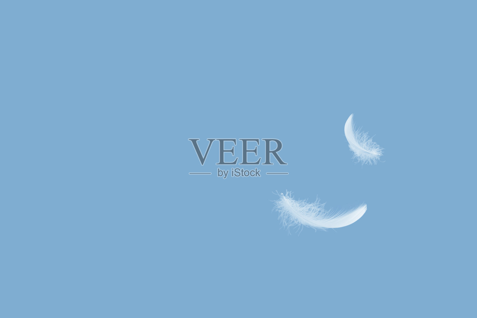 摘要，轻盈蓬松的一根白色羽毛漂浮在空中，带有复制空间照片摄影图片