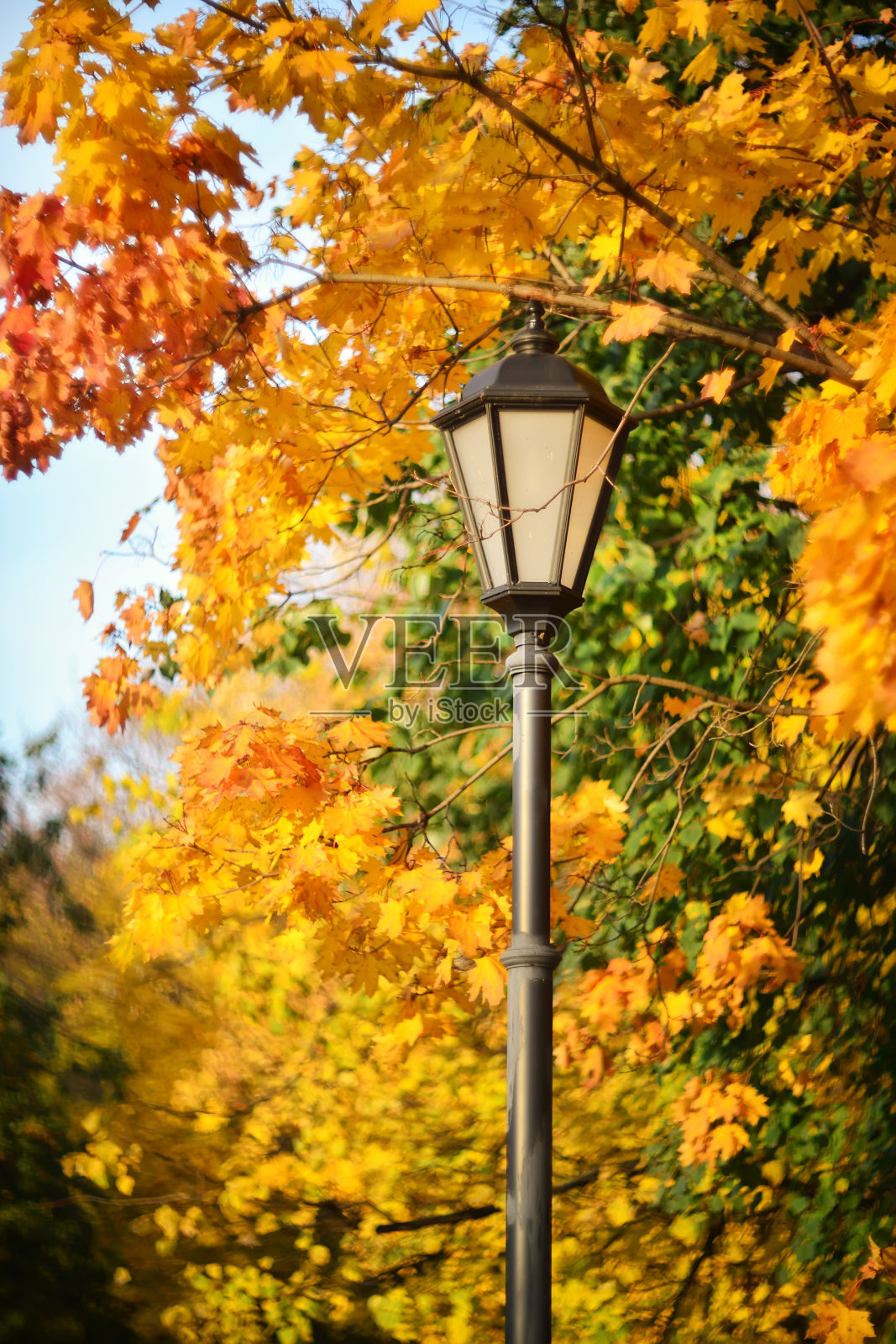 秋天的风景和灯柱照片摄影图片