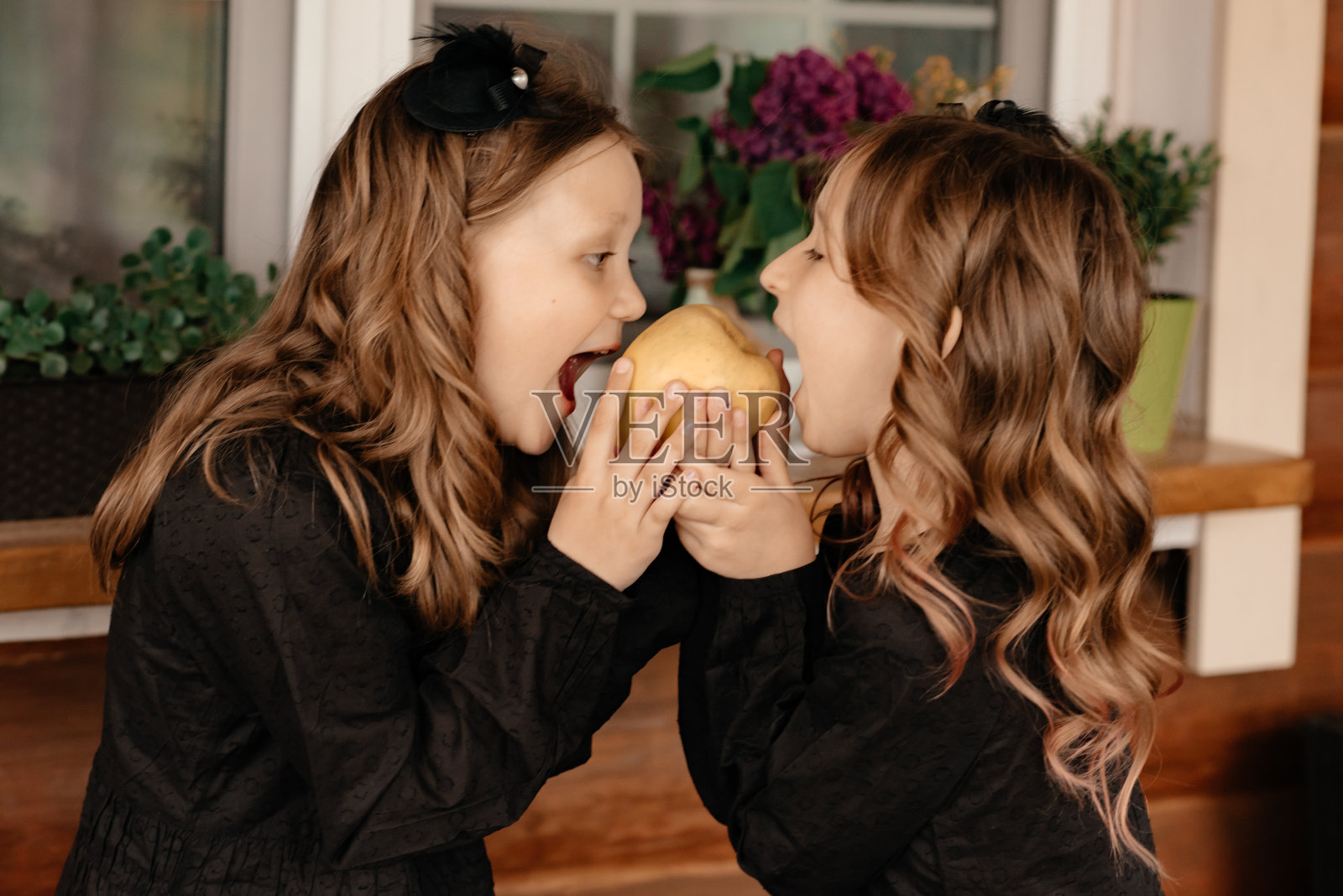 穿着裙子的可爱的孩子们正在试着咬下一个苹果。照片摄影图片