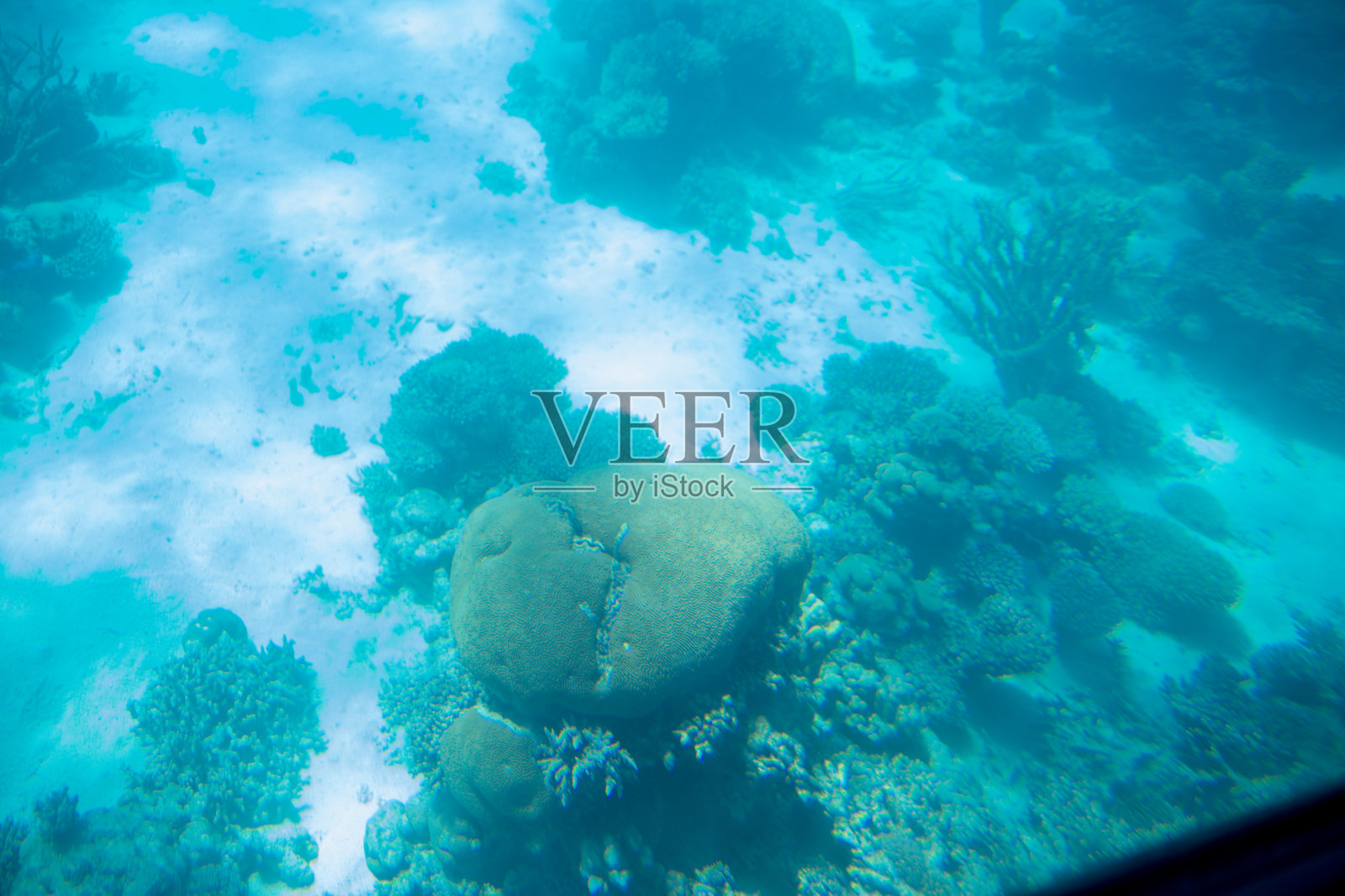 红海清澈的海水照片摄影图片