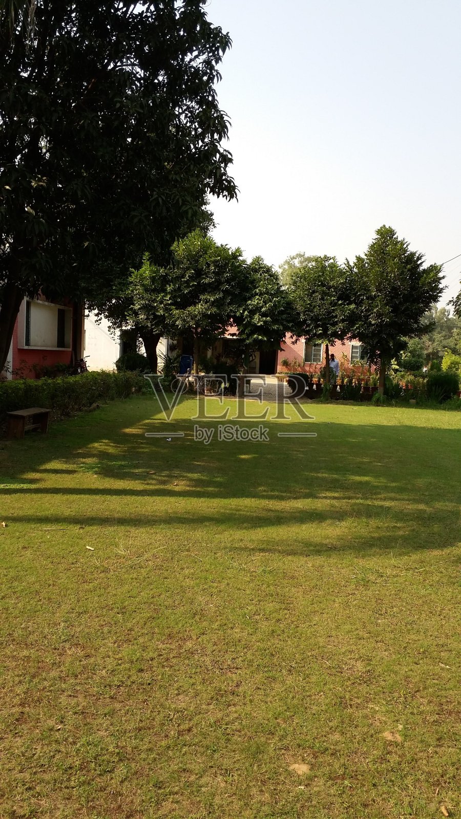 美丽的阴影草坪照片摄影图片