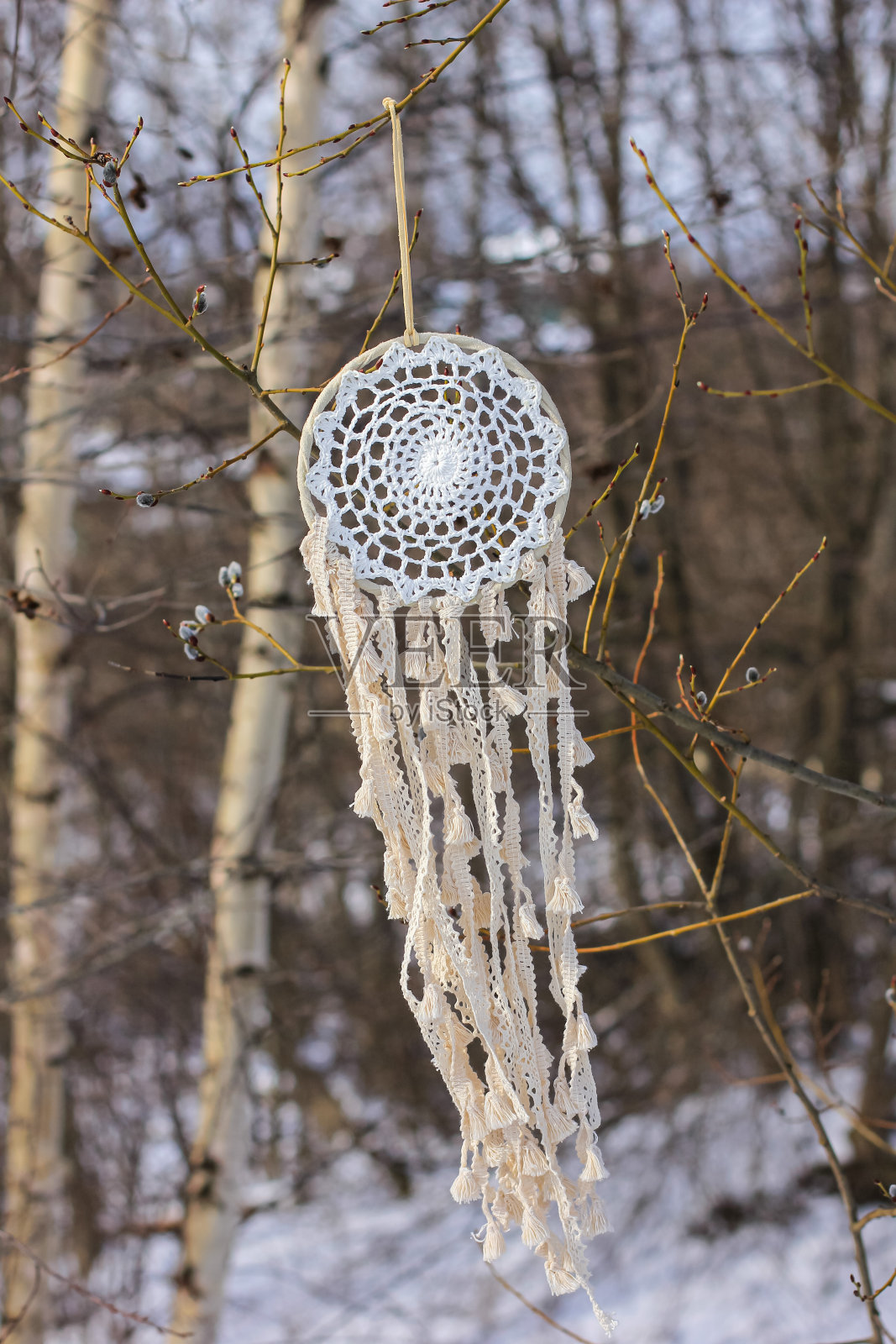 美丽轻盈的捕梦网，挂在柳枝上，迎风飘扬。波西米亚风格，民族护身符，象征。照片摄影图片