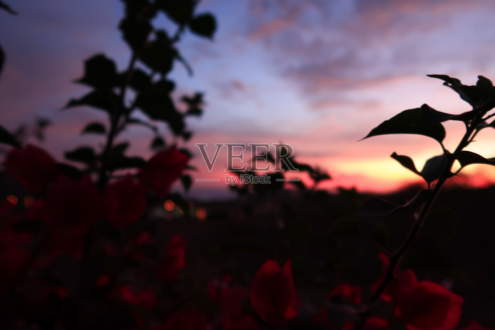 妮卡的棉花糖天空照片摄影图片