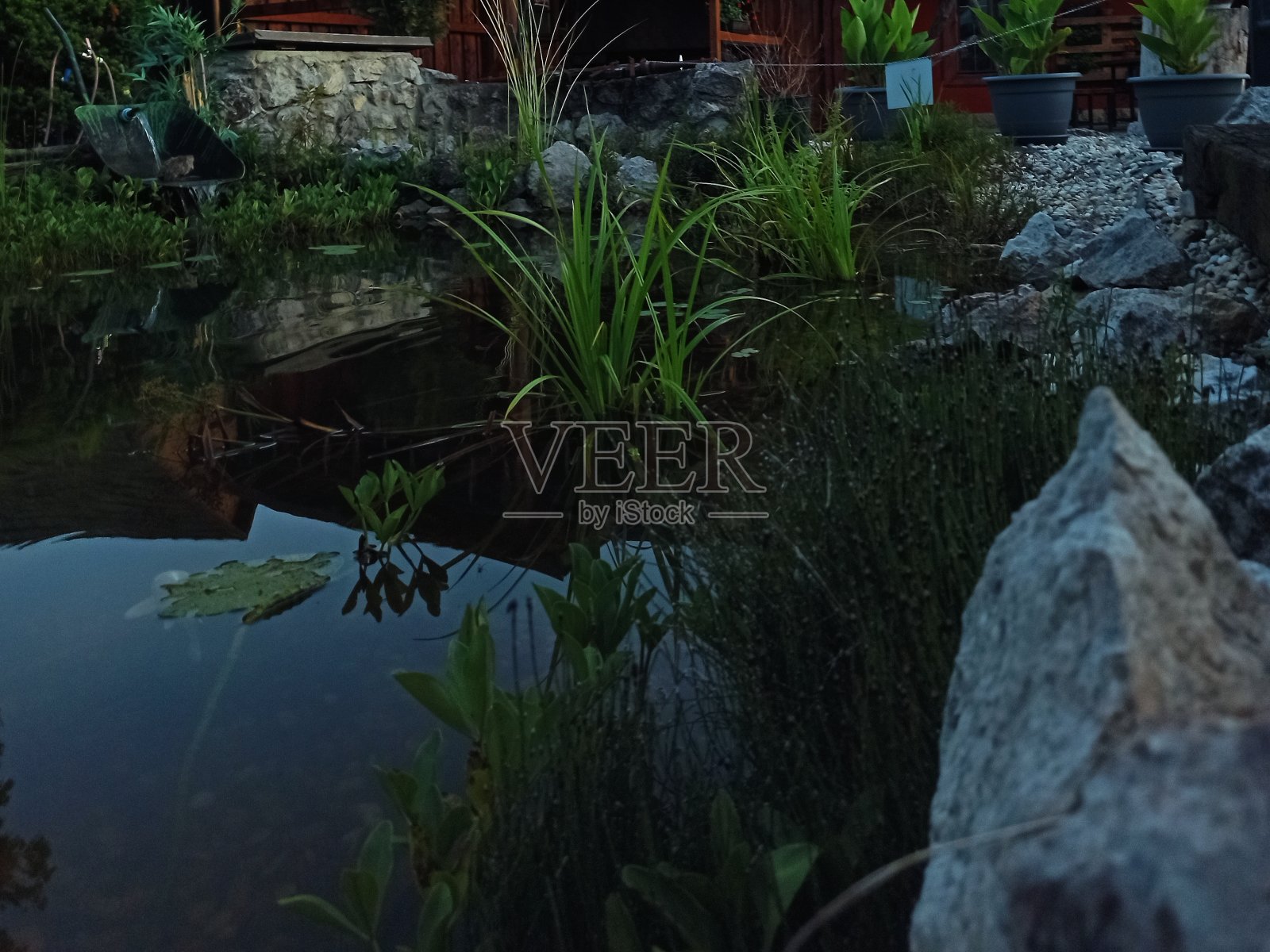 房子前面的池塘。照片摄影图片