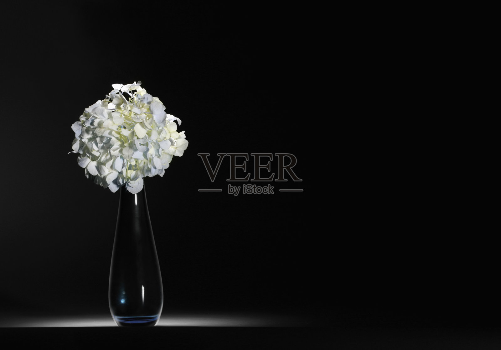 花瓶中的花照片摄影图片