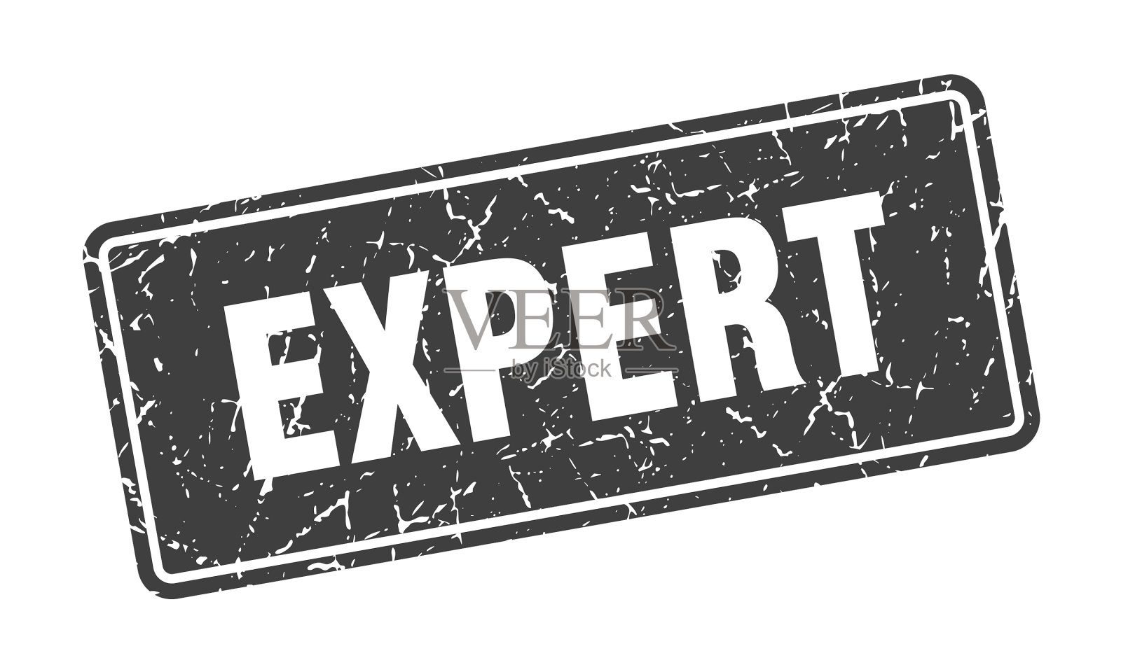 专家印章专家古董灰色标签标志插画图片素材