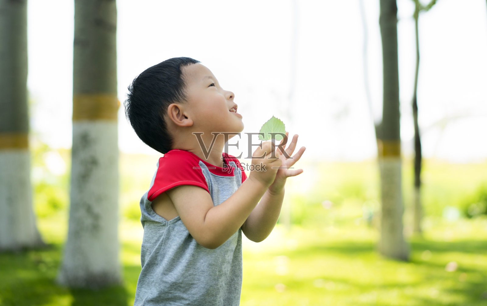 婴儿照片摄影图片