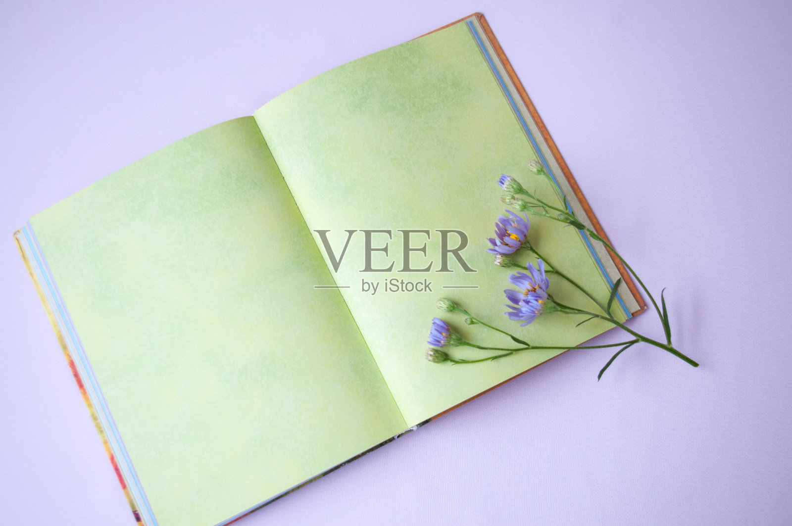 在打开的记事本上放一束丁香花，这是用来写文字的地方照片摄影图片