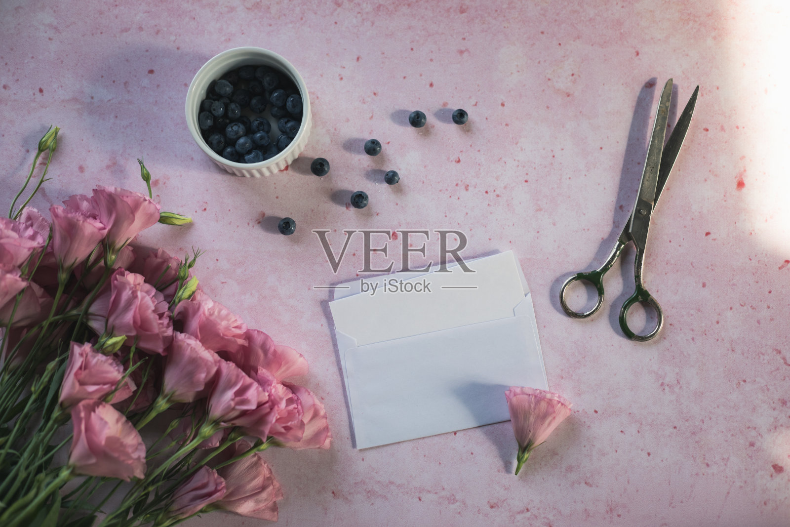 用粉红色的洋桔梗花和蓝莓制作情书照片摄影图片