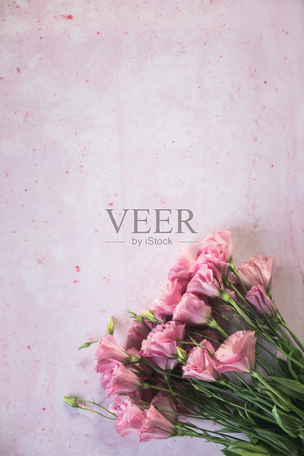 在柔和的粉红色背景下复制一束粉色洋桔黄色花的空间照片照片摄影图片