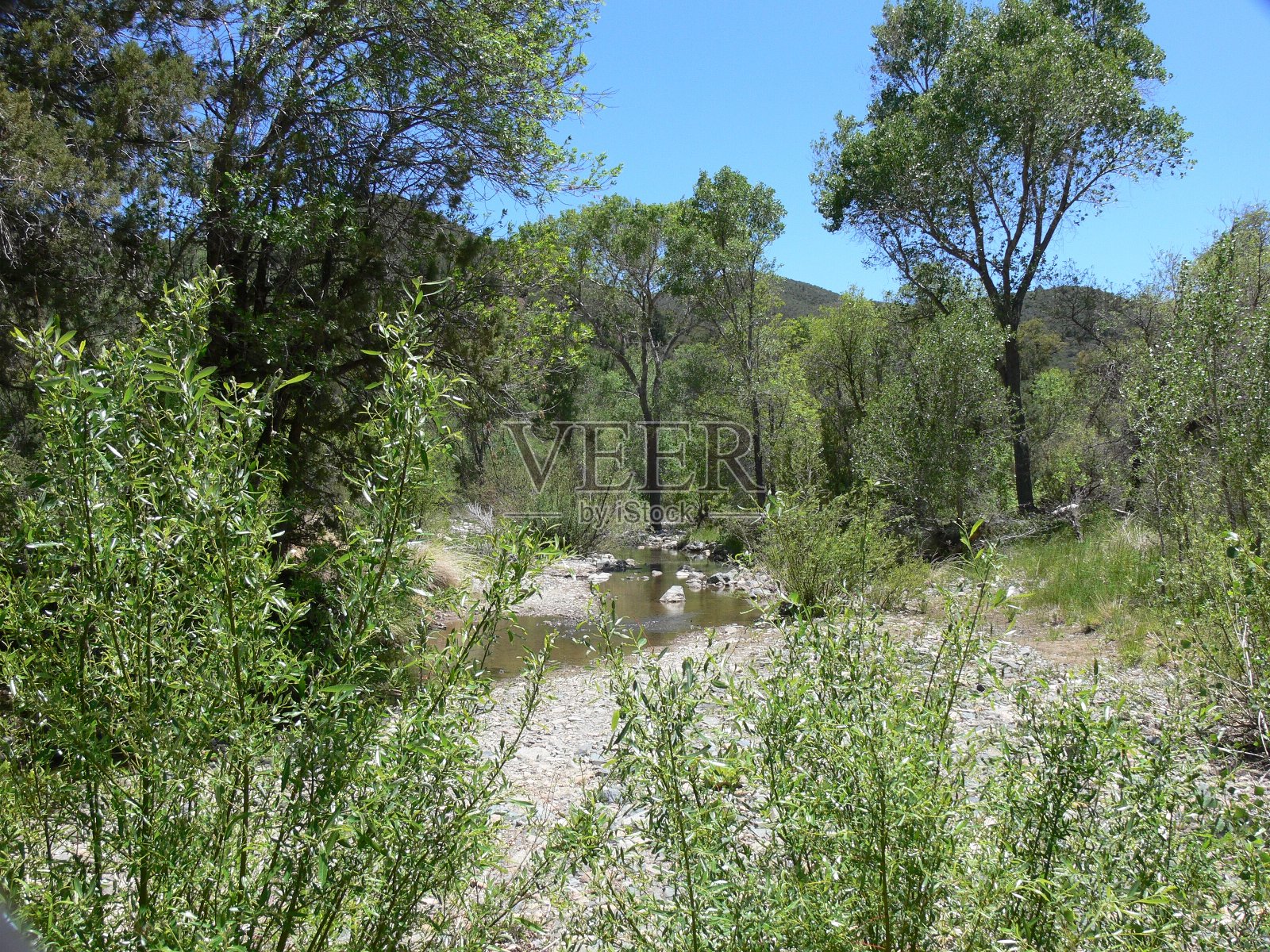亚利桑那州山涧照片摄影图片