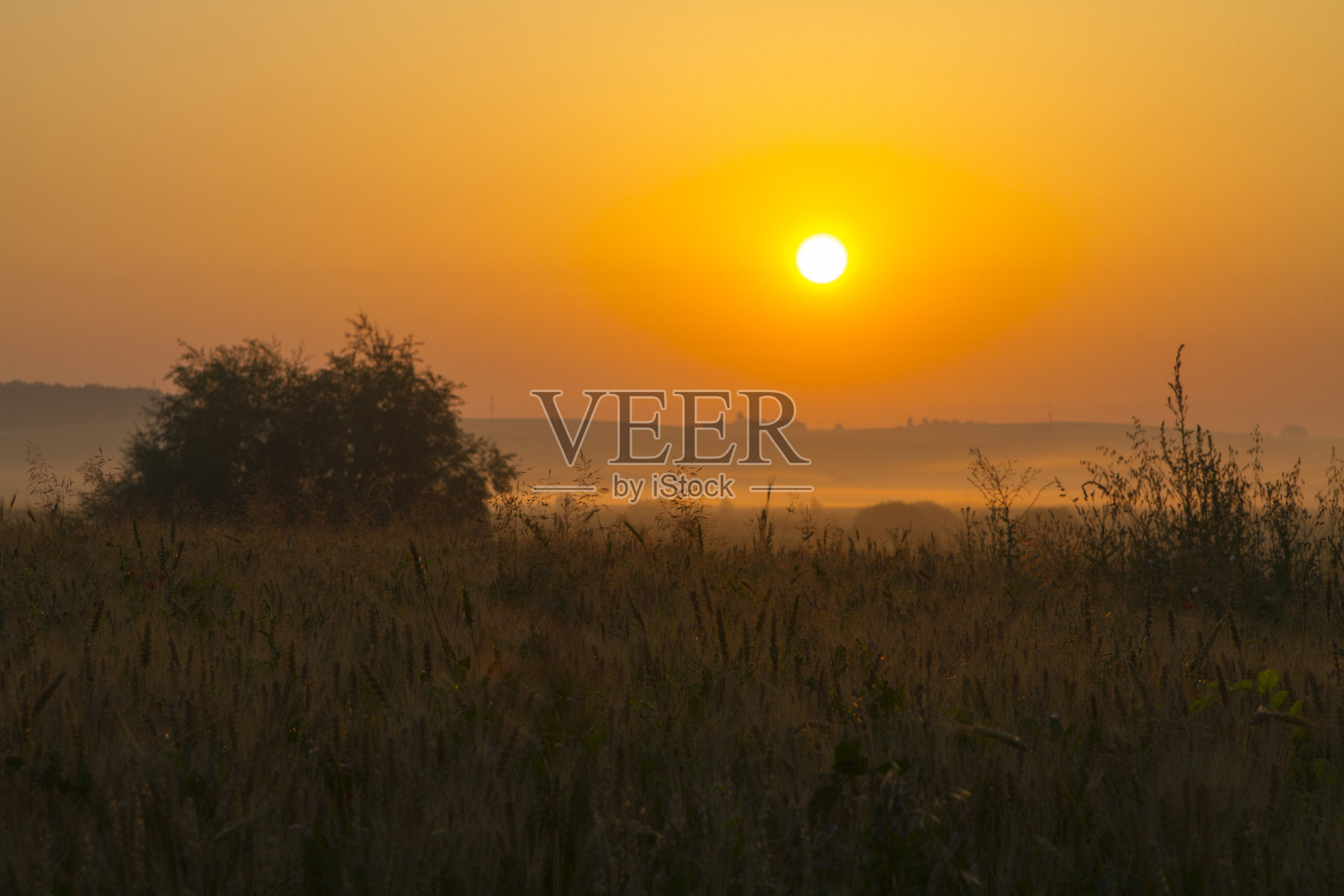 田野上的日出照片摄影图片