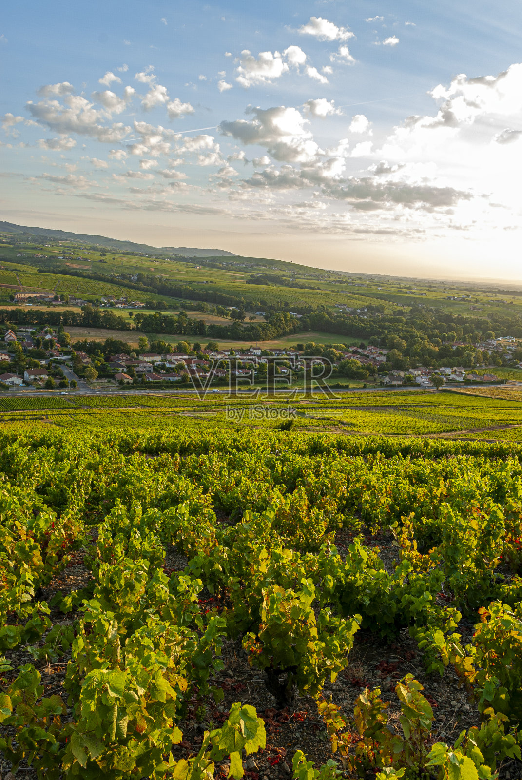 博若莱葡萄园周围的村庄Cercié在Rhône部门在法国照片摄影图片