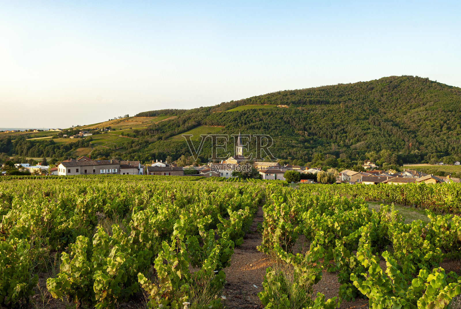 村庄Juliénas在博若莱葡萄园在Rhône部门在法国照片摄影图片