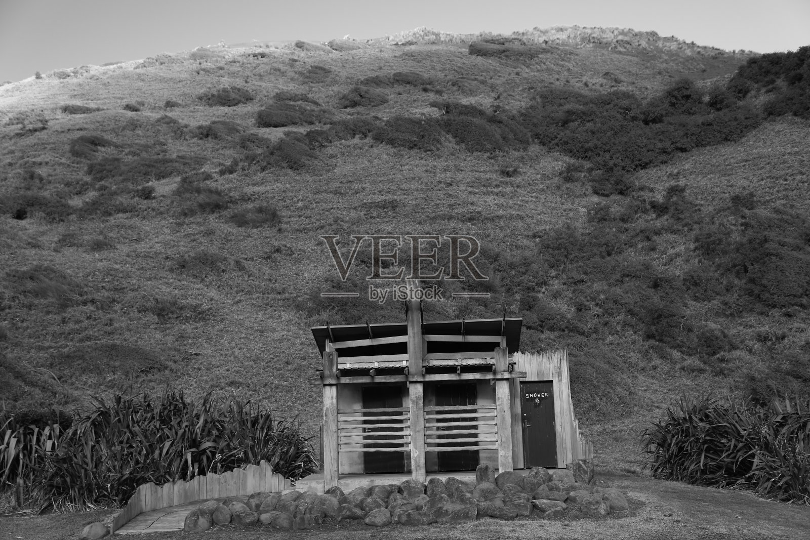 一个猕猴桃厕所照片摄影图片