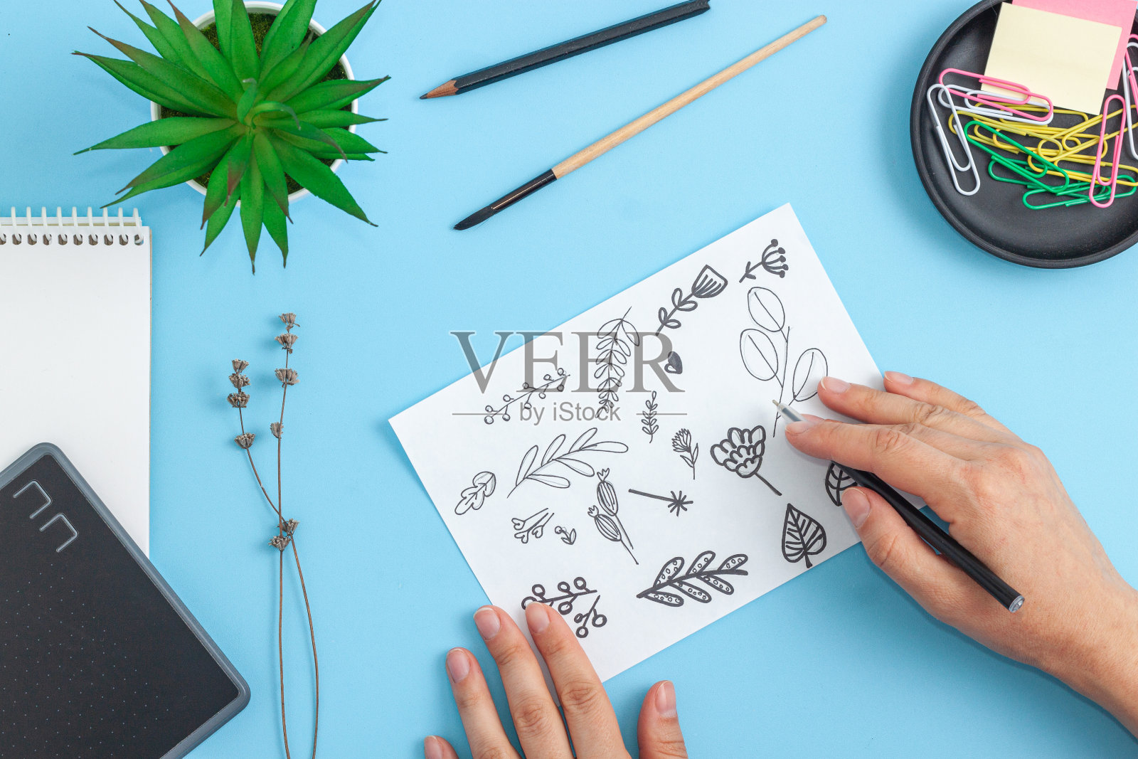 女人画植物花照片摄影图片