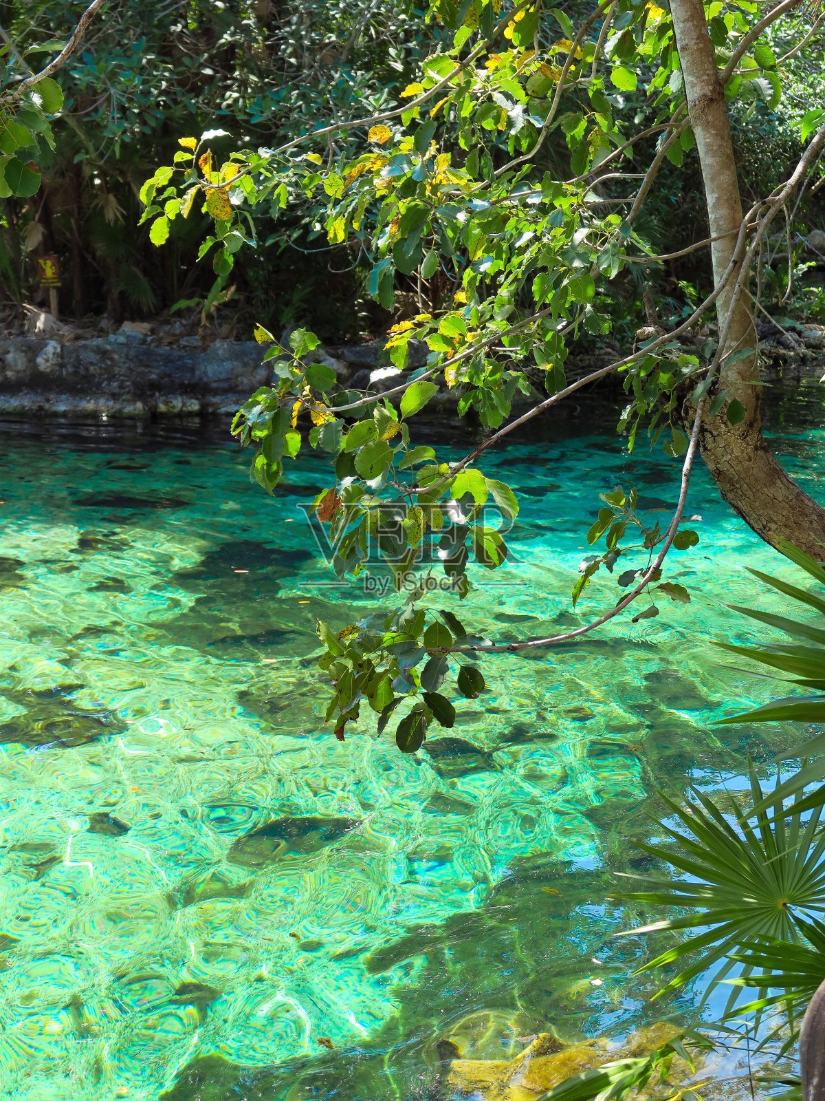 绿色、蓝绿色照片摄影图片