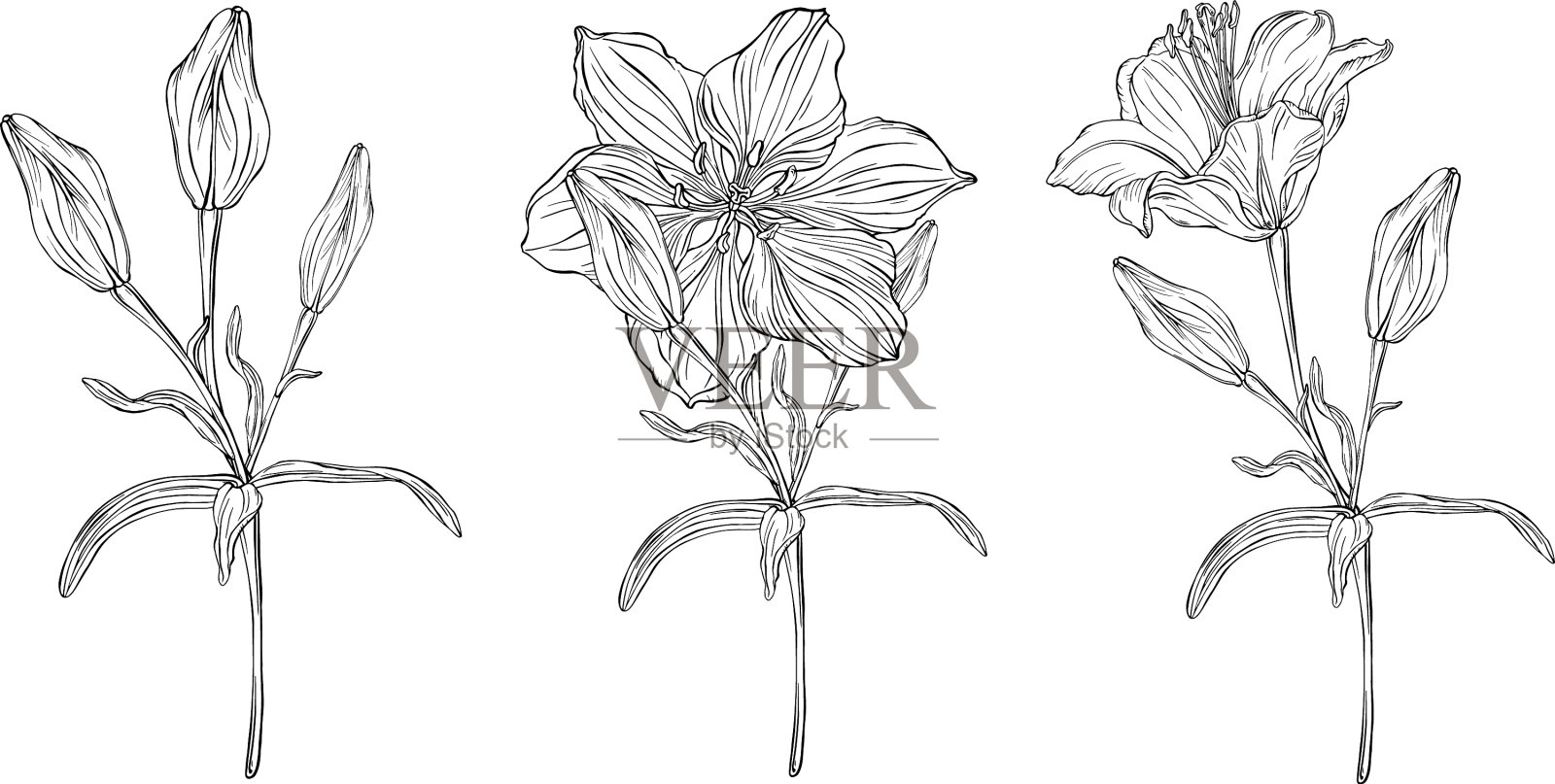 图形用花卉构成插画图片素材