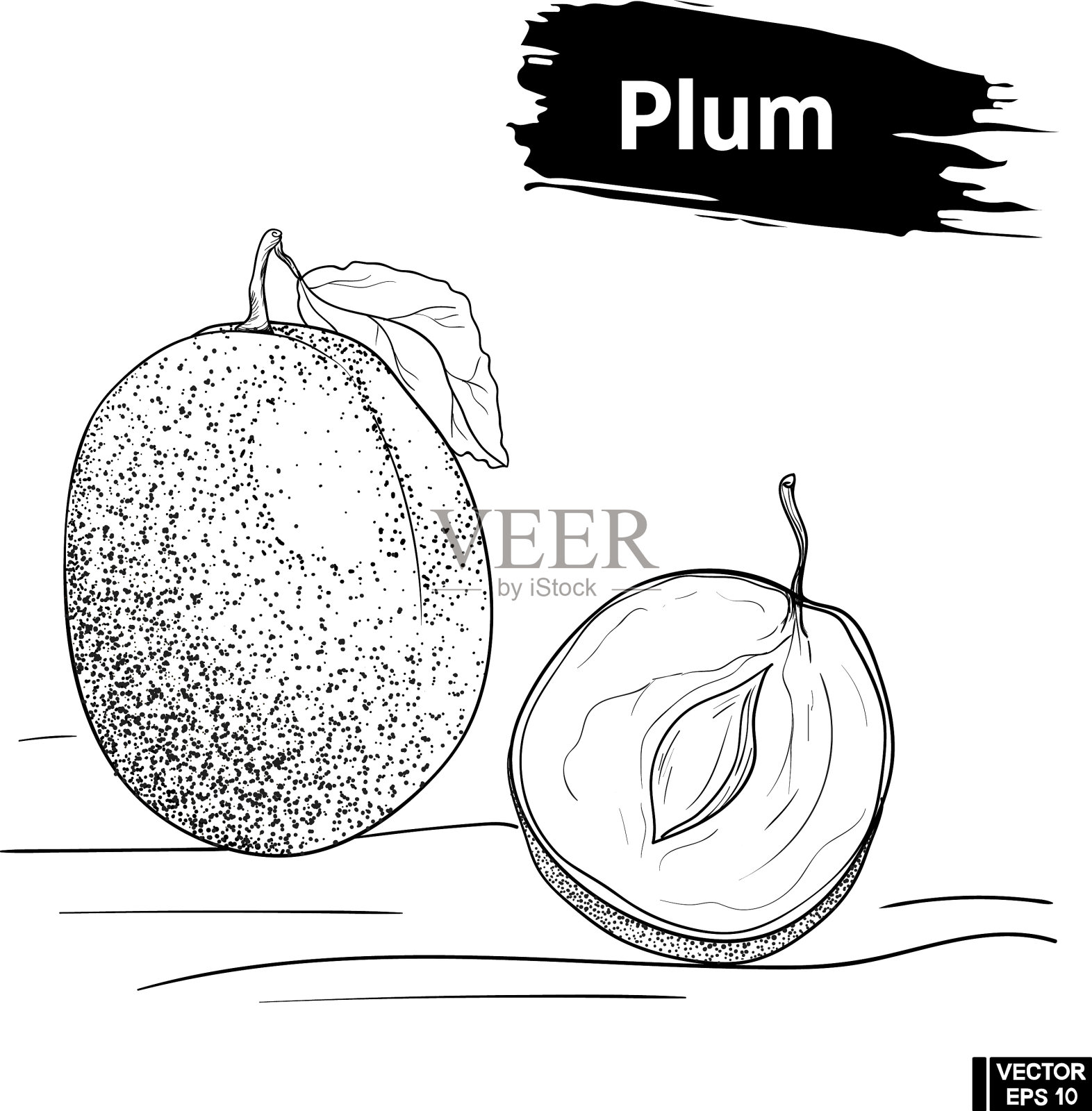 孤果小李插画图片素材