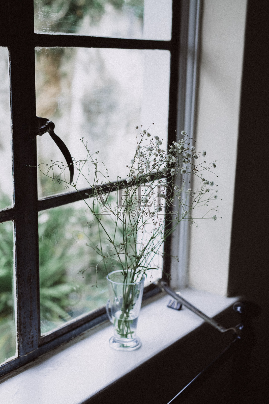 窗台上的花照片摄影图片