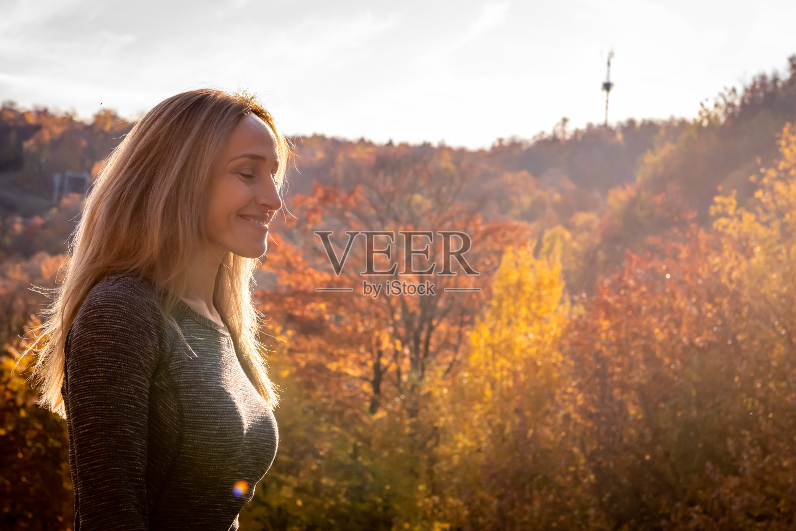 在加拿大的秋天。照片摄影图片