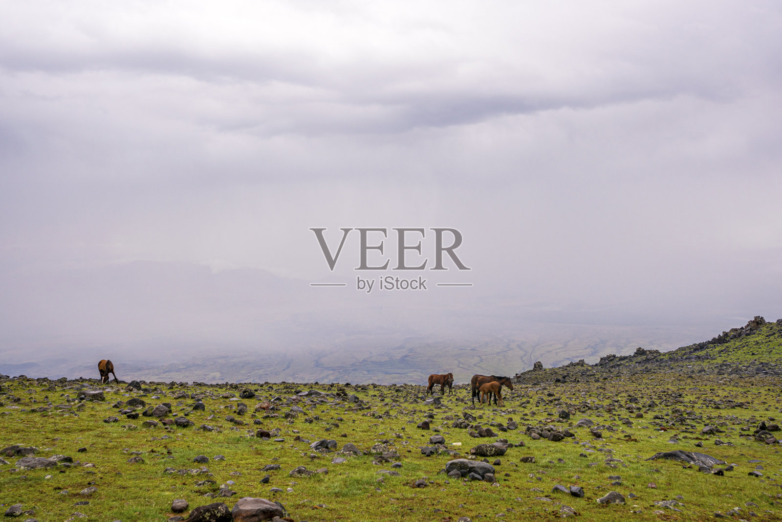 基地营地在亚拉腊山照片摄影图片