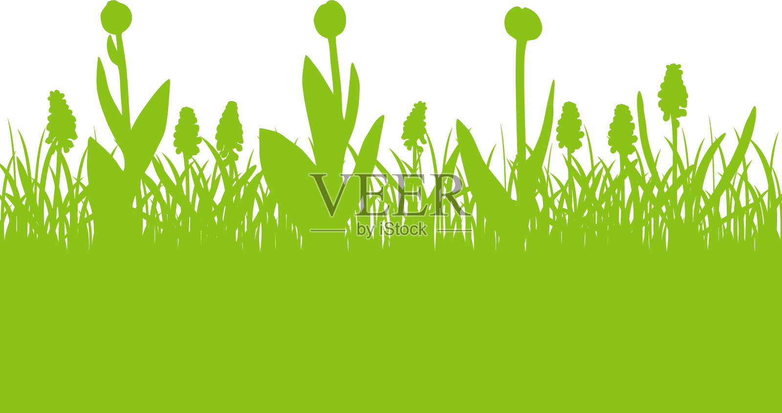 春天的背景与郁金香花蕾和麝香插画图片素材