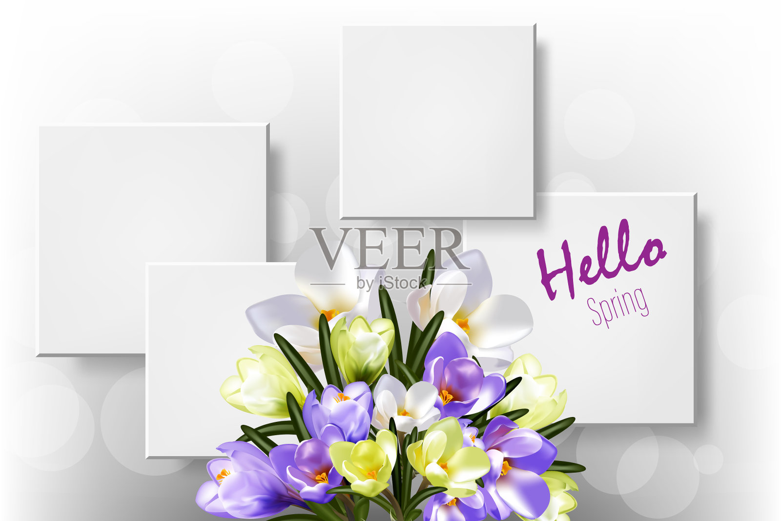 花束番红花海报明信片插画图片素材