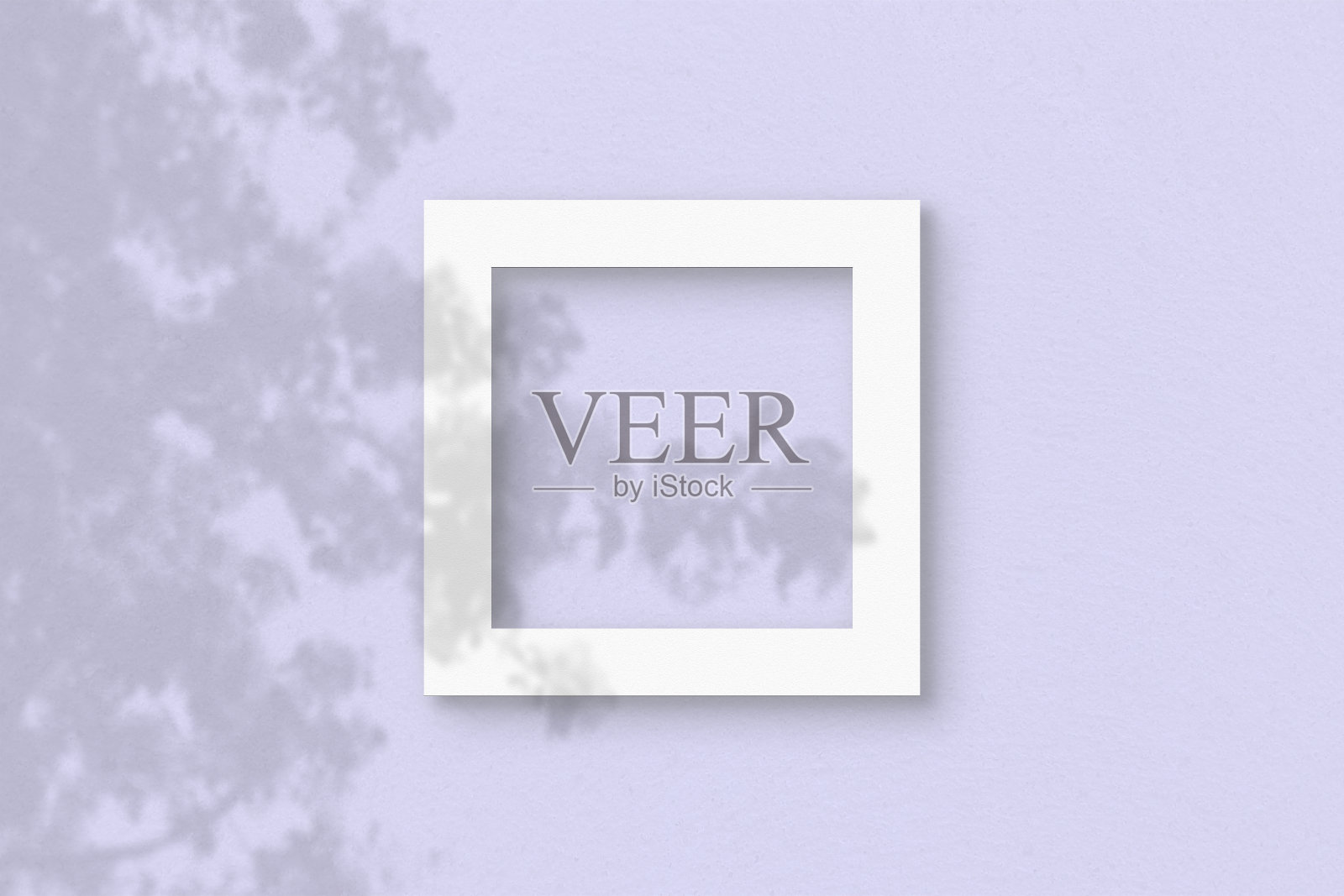 在淡紫色的墙壁背景上，方形的白色纹理纸。模型与植物阴影覆盖。自然光在外来植物的叶子上投下阴影。平躺，俯视图插画图片素材