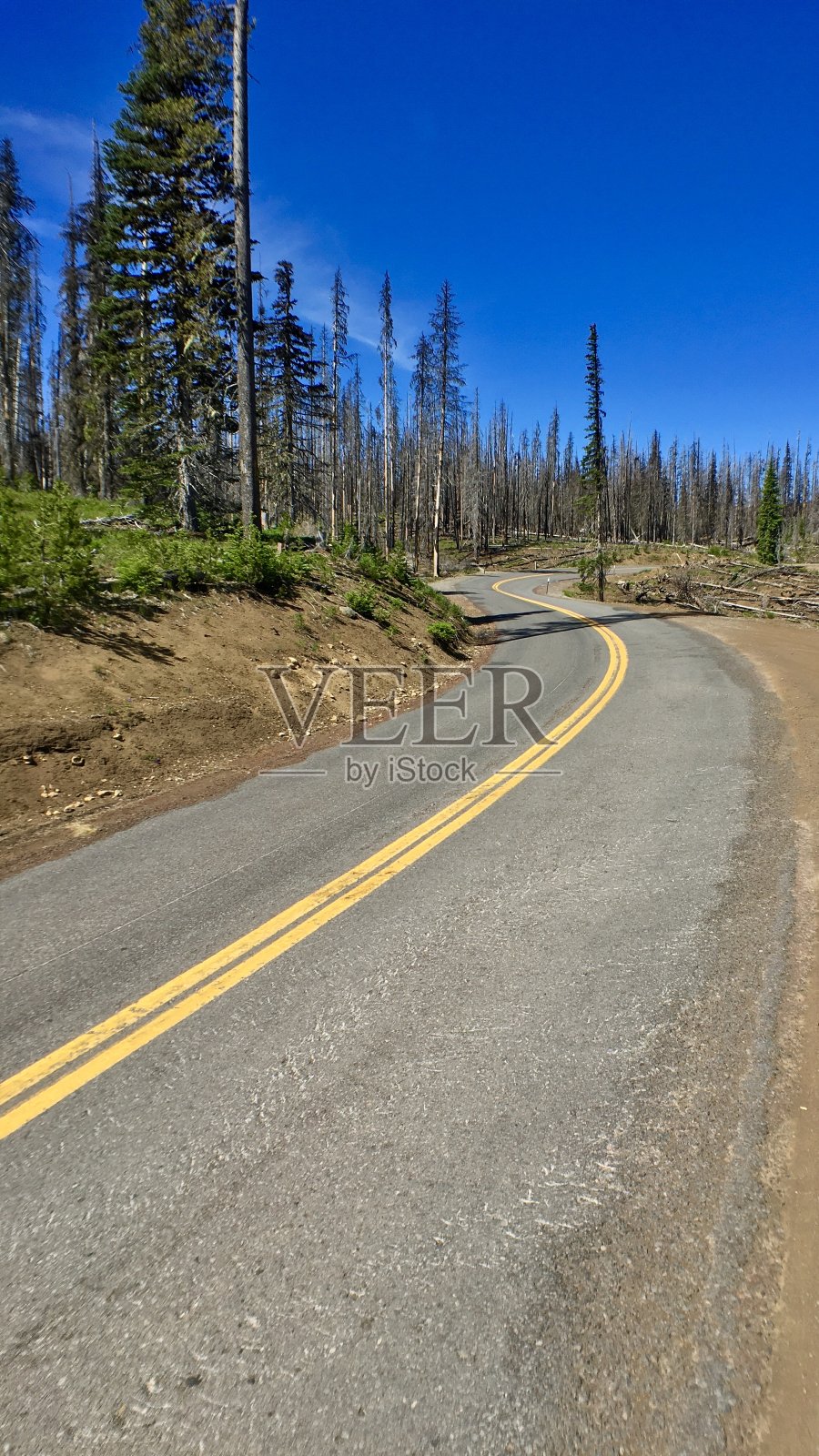前方弯道/ s型弯道-全景视图照片摄影图片