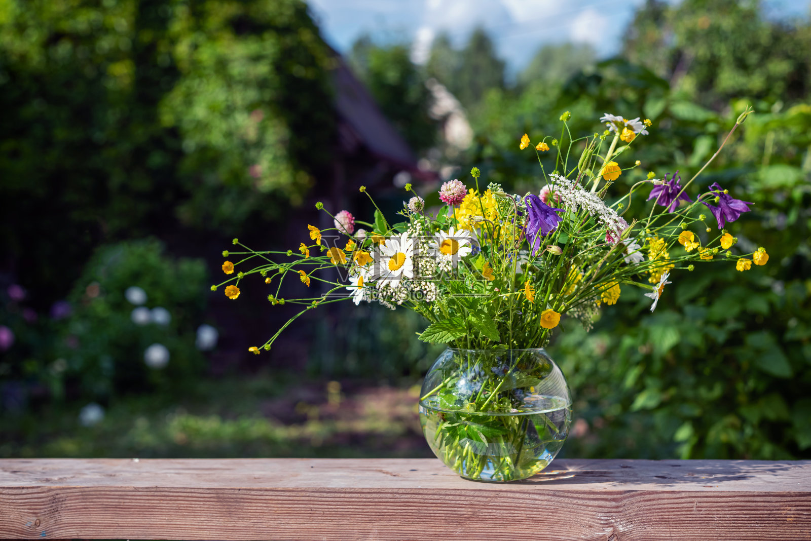 一束插在玻璃花瓶里的野花。照片摄影图片