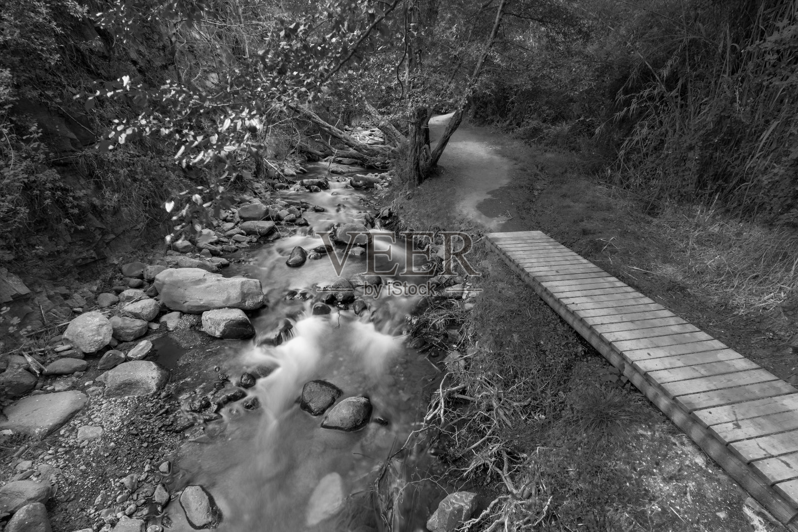 纯净的溪水在塞浦路斯Troodos的Kakopetria森林的Vateri步道上流过岩石地形。照片摄影图片