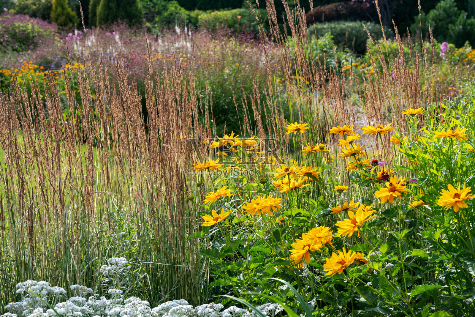 令人惊叹的自然风格花园附近的乡村房子在莫斯科附近，俄罗斯。照片摄影图片