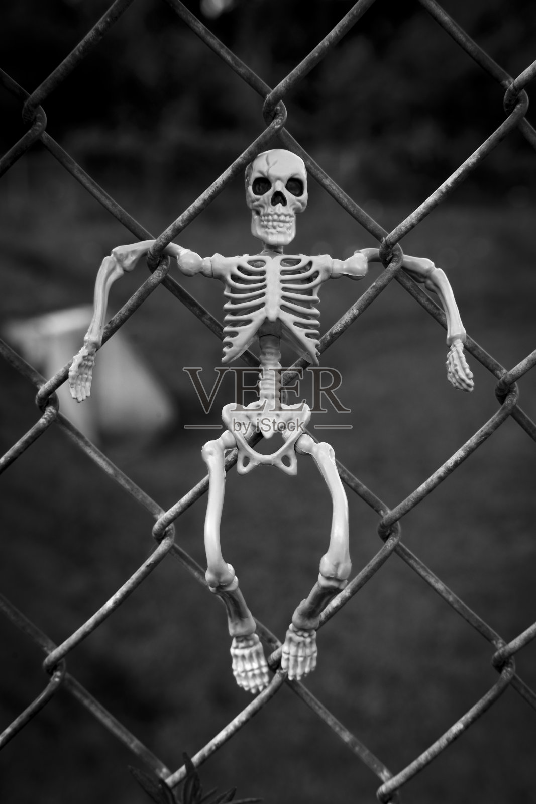 幽灵万圣节骷髅栅栏照片摄影图片