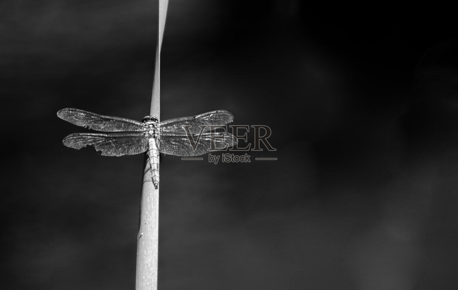 在跑道上照片摄影图片