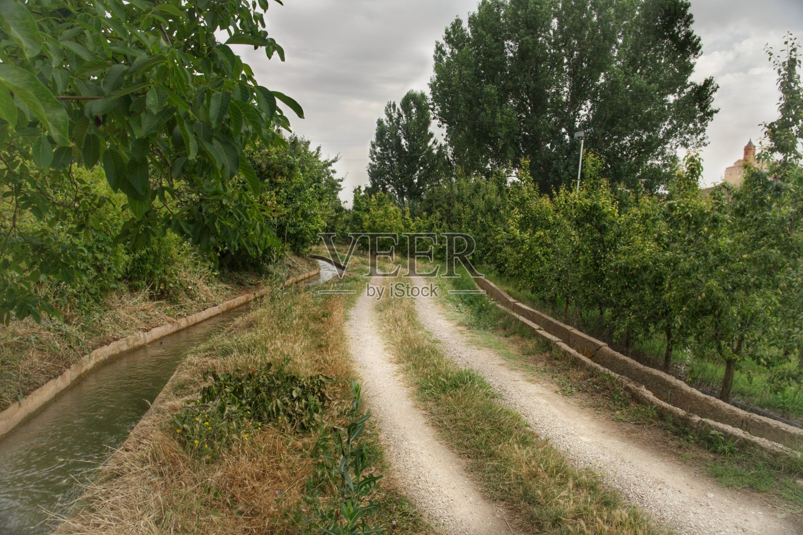 在果树间散步很酷照片摄影图片