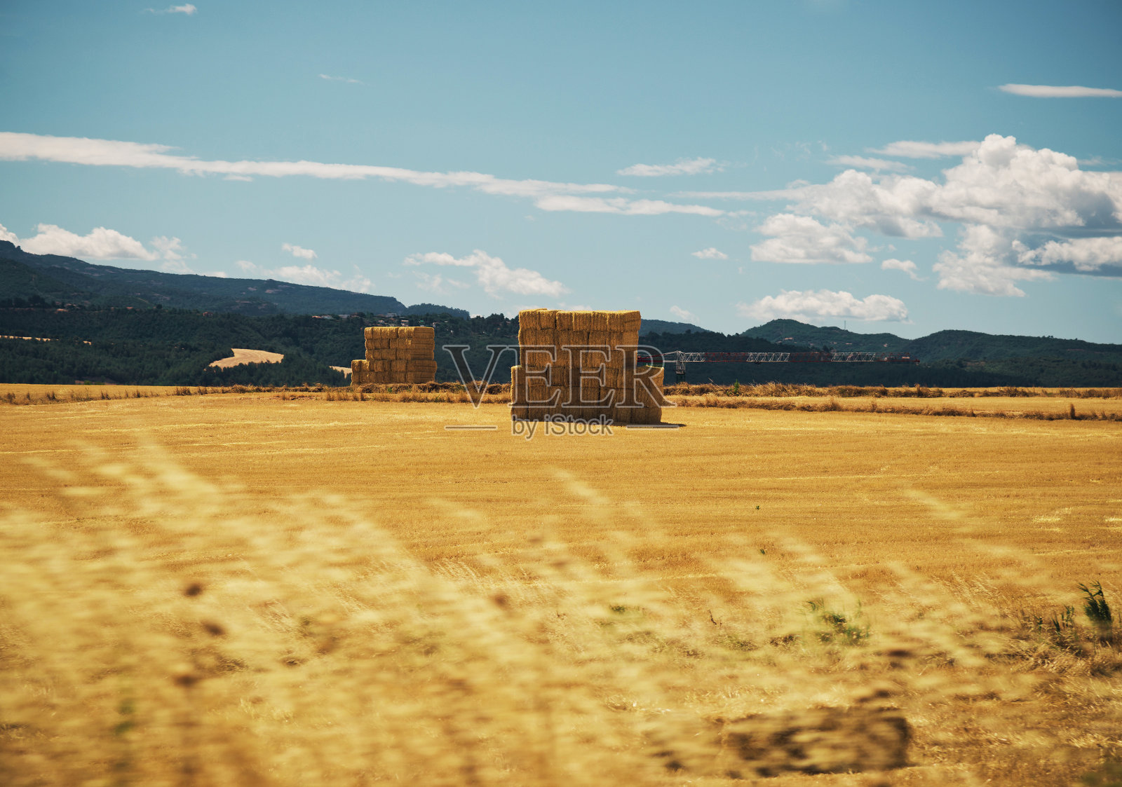有稻草捆的田地照片摄影图片