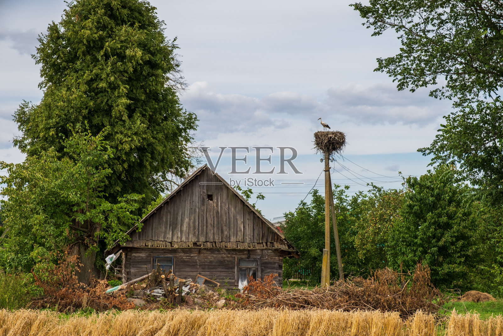 废弃的木屋在俄罗斯村庄和鹳巢在支柱上。农村景观。照片摄影图片
