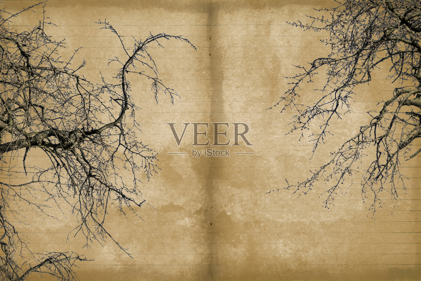 从笔记本背景的垃圾老页照片摄影图片