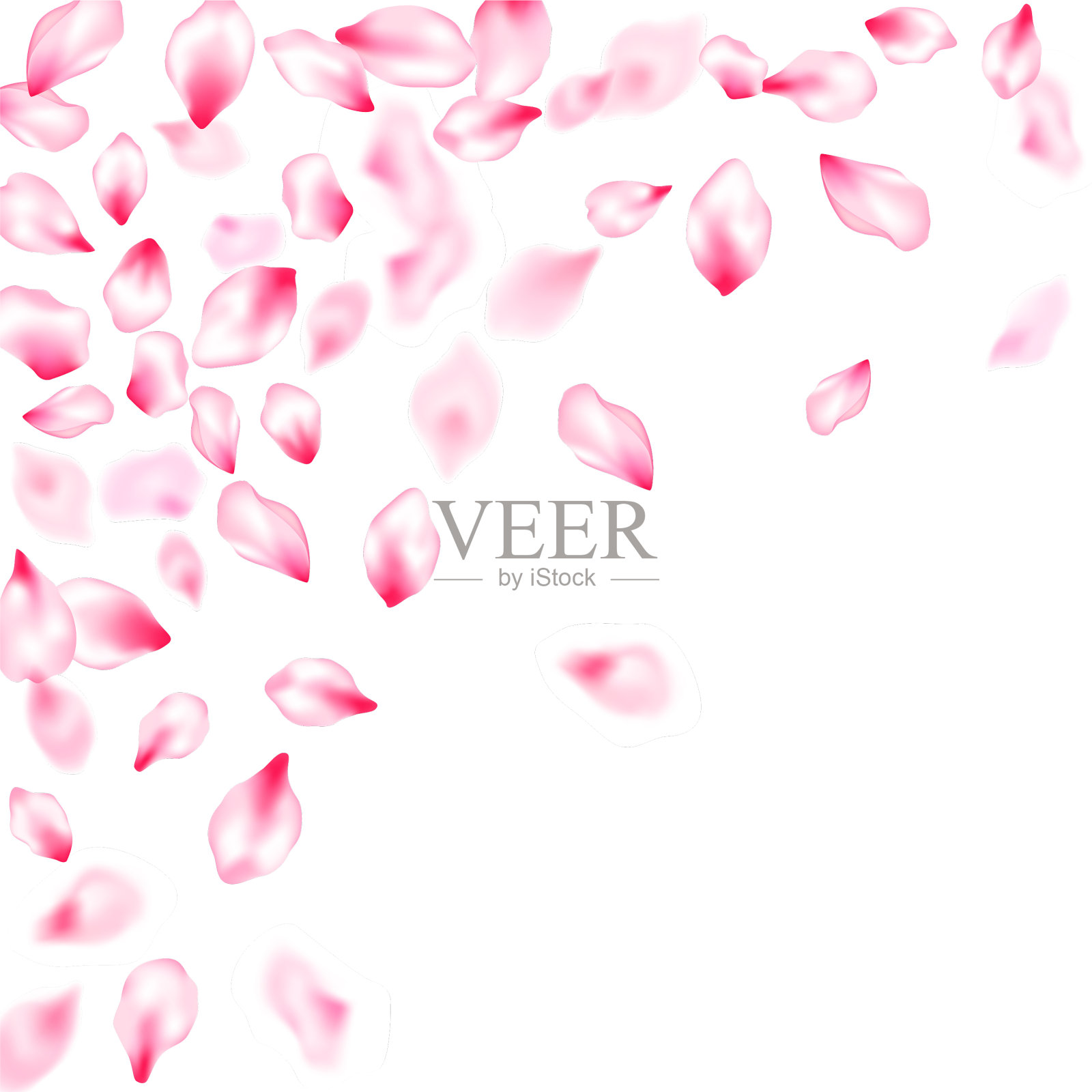 春花独瓣飞插画图片素材